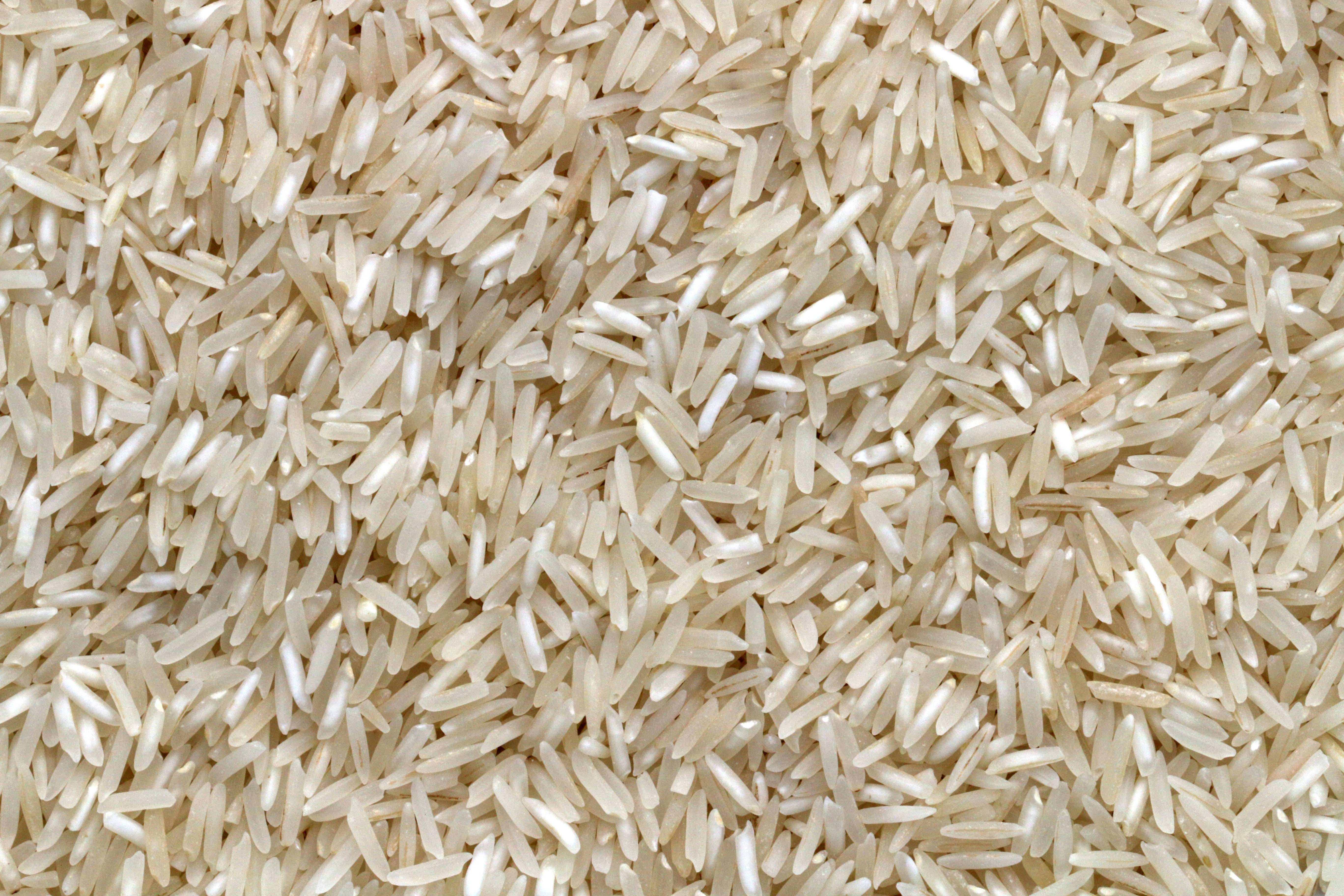 Premium Rice